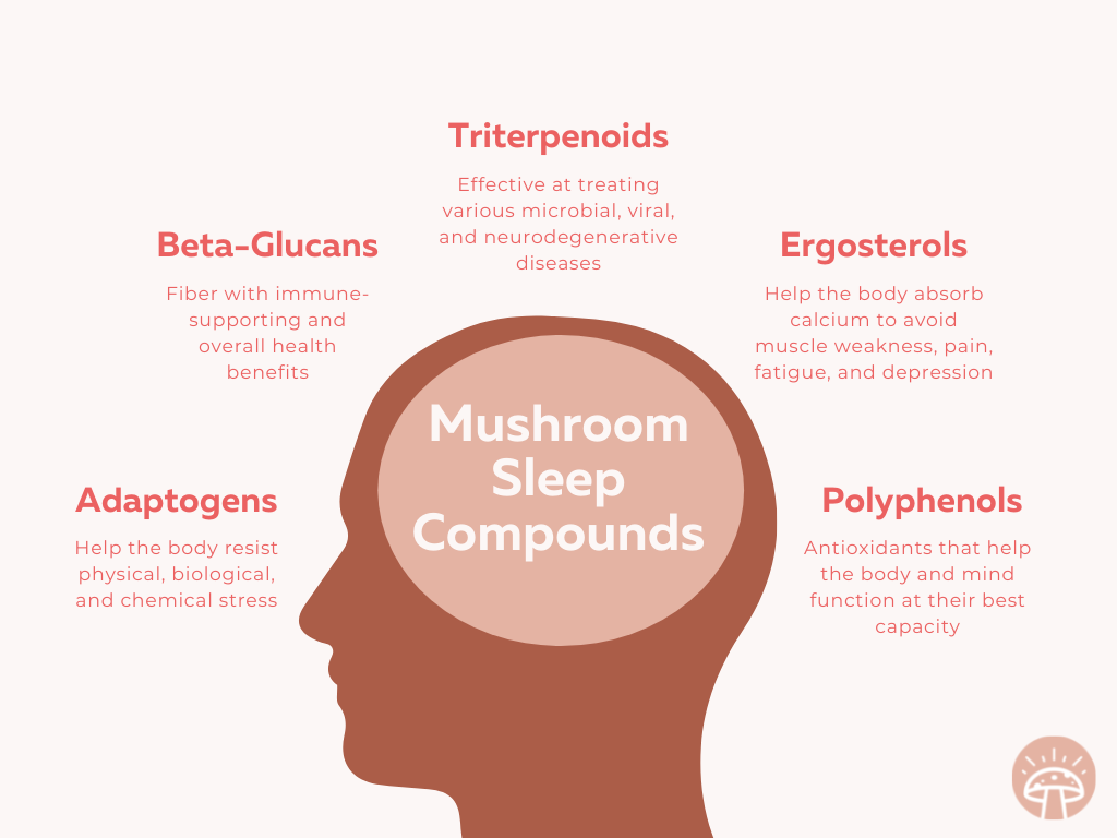 sleep compounds showing adaptogens, beta-glucans, and more