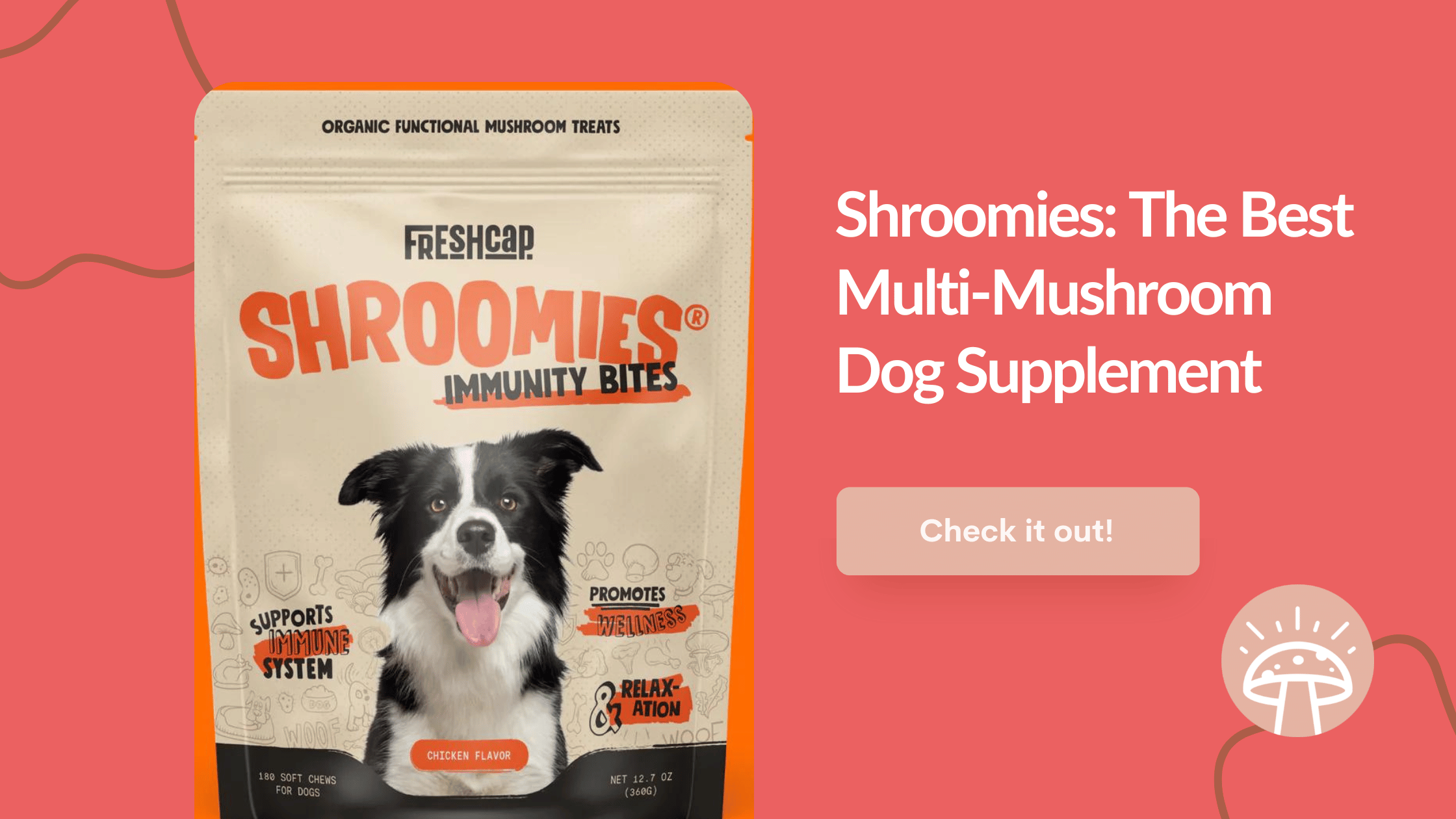 Shroomies Mushroom Supplement for Dogs 