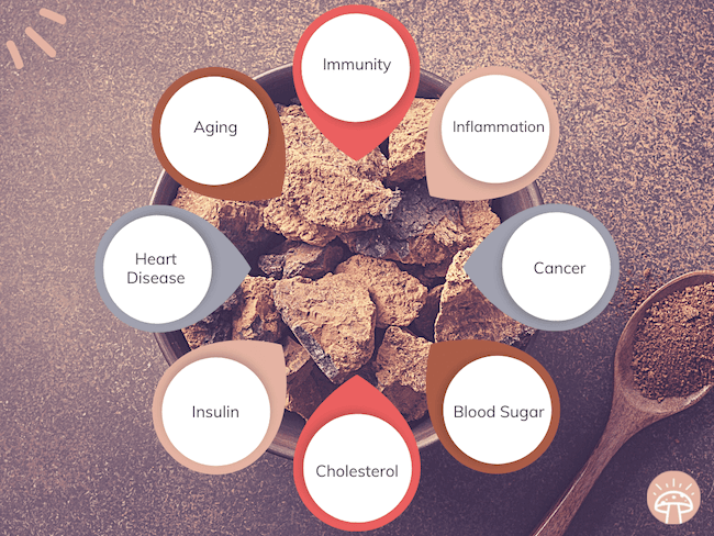 Chaga health benefits circle graphic