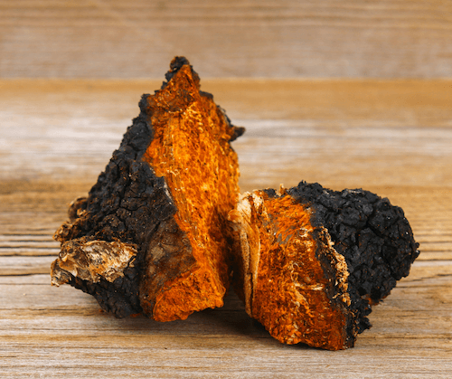 raw chaga mushroom cut in half