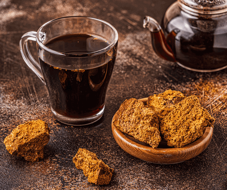 chaga tea with tea kettle