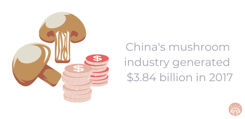 Chinas mushroom industry