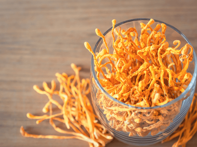 Cordyceps harvested in a glass bowl