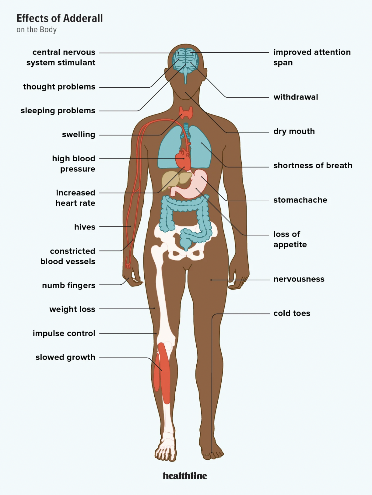 Effects of Adderall on the Body from Healthline