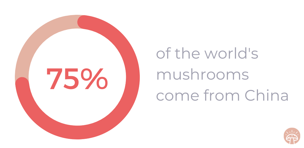 Mushrooms from china graphic 75