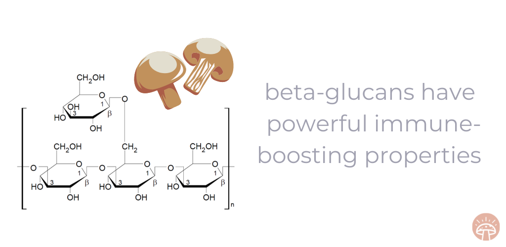 Beta-glucan structure graphic