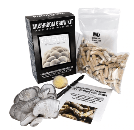 North Spore Blue Oyster Outdoor Log Kit