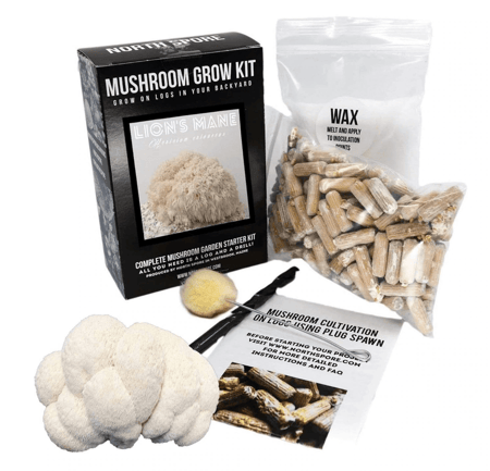 North Spore Lions Mane Outdoor Mushroom Log Kit