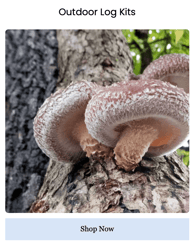 North Spore Outdoor Log Kits - Shop Now