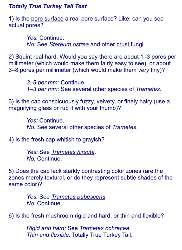 How to Identify Turkey Tail Infographic