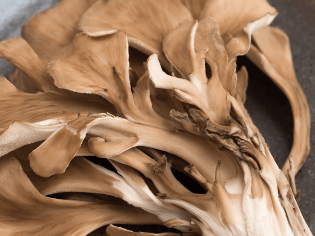 Maitake d-fraction mushroom