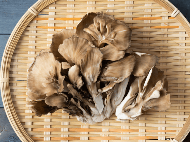 Maitake mushrooms on a plate