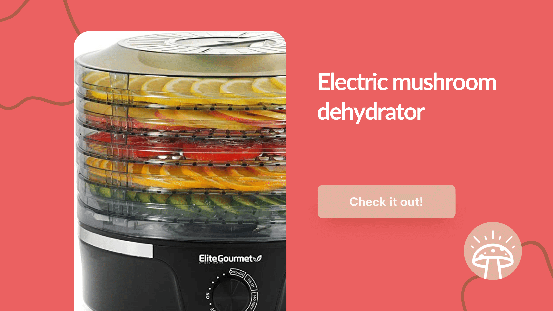 electric mushroom dehydrator