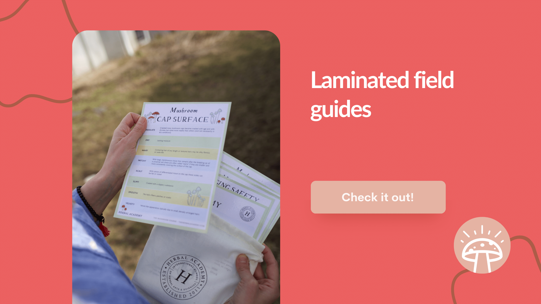 laminated field guides