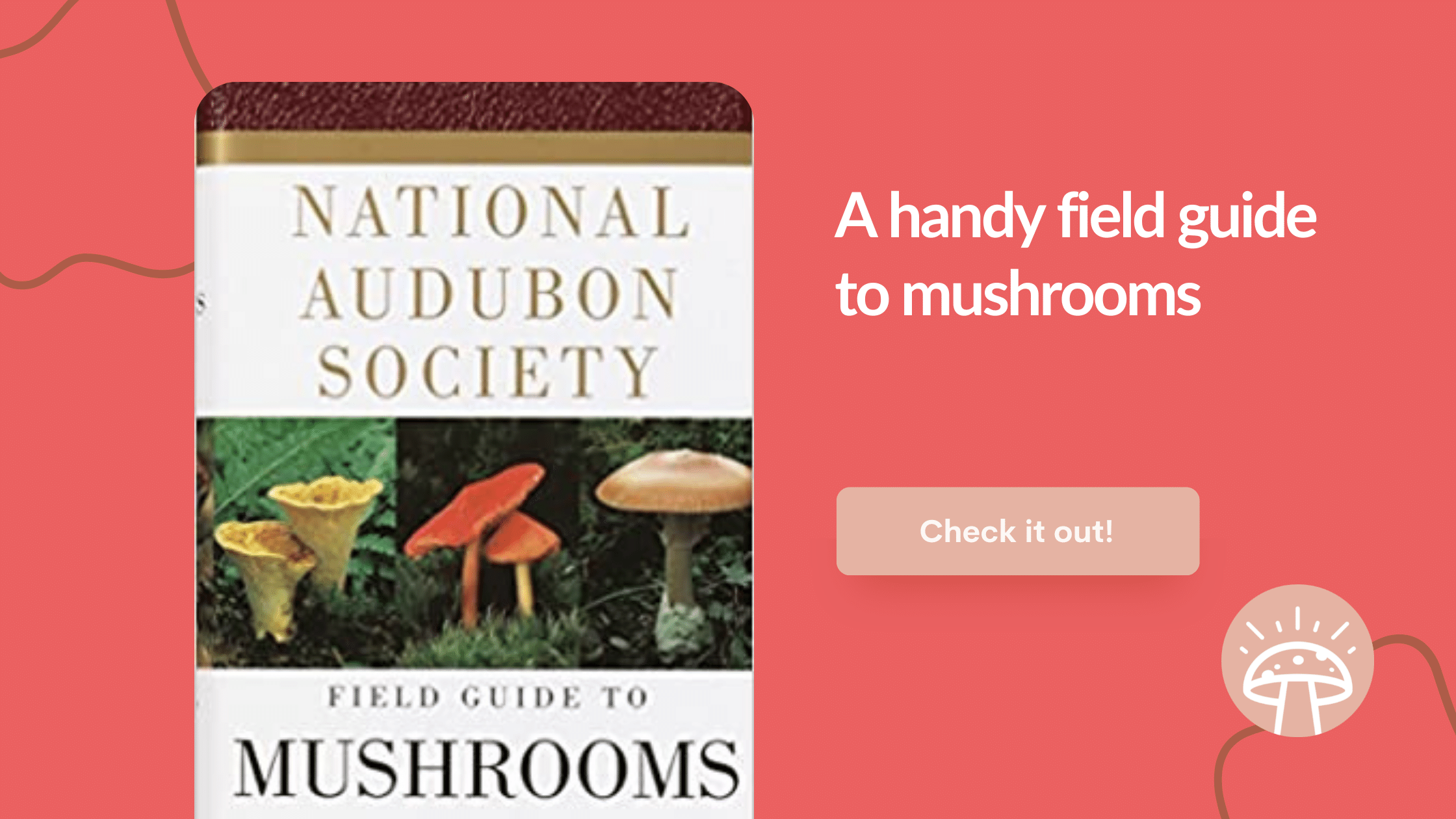 mushroom hunter field guide by audubon