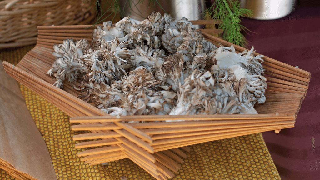 maitake in fancy bowl