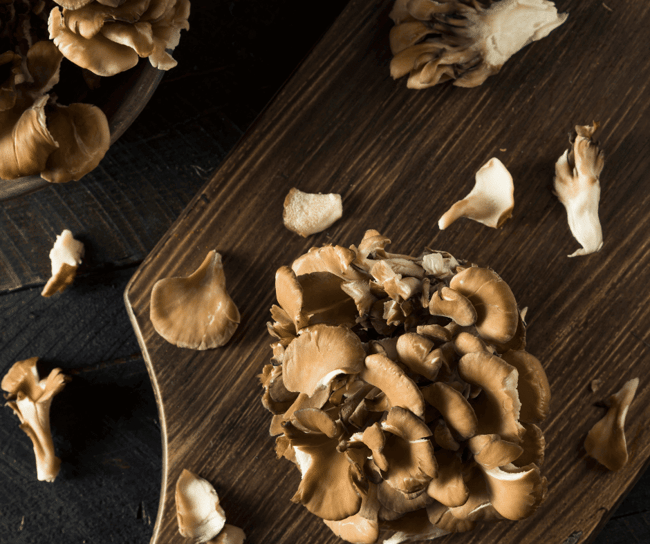 maitake mushroom image 10