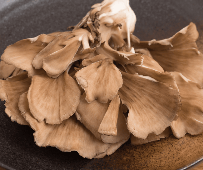 maitake mushrooms raw on a plate