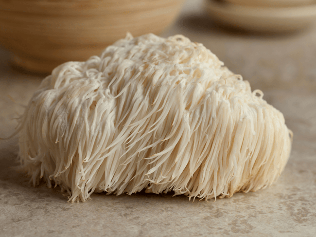 lions mane mushroom closeup