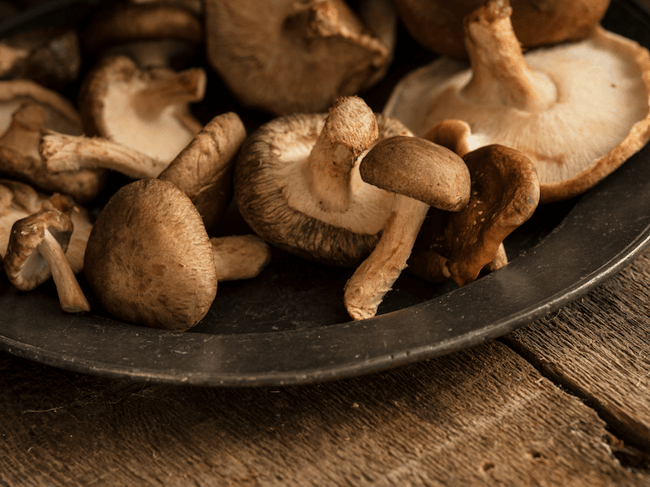 shiitake mushrooms in a shallow bowl