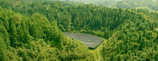 Mushroom farm in China woodlands