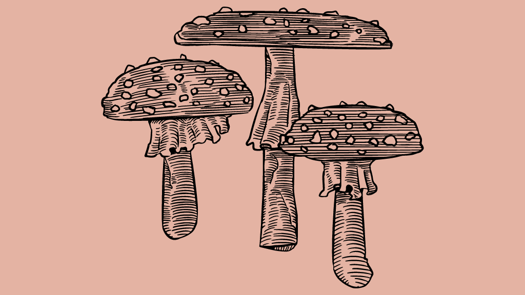 Amanita Muscaria Drawing