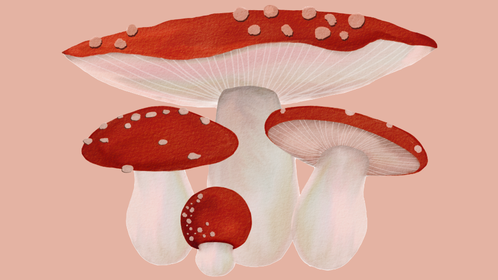 Amanita Muscaria Graphic