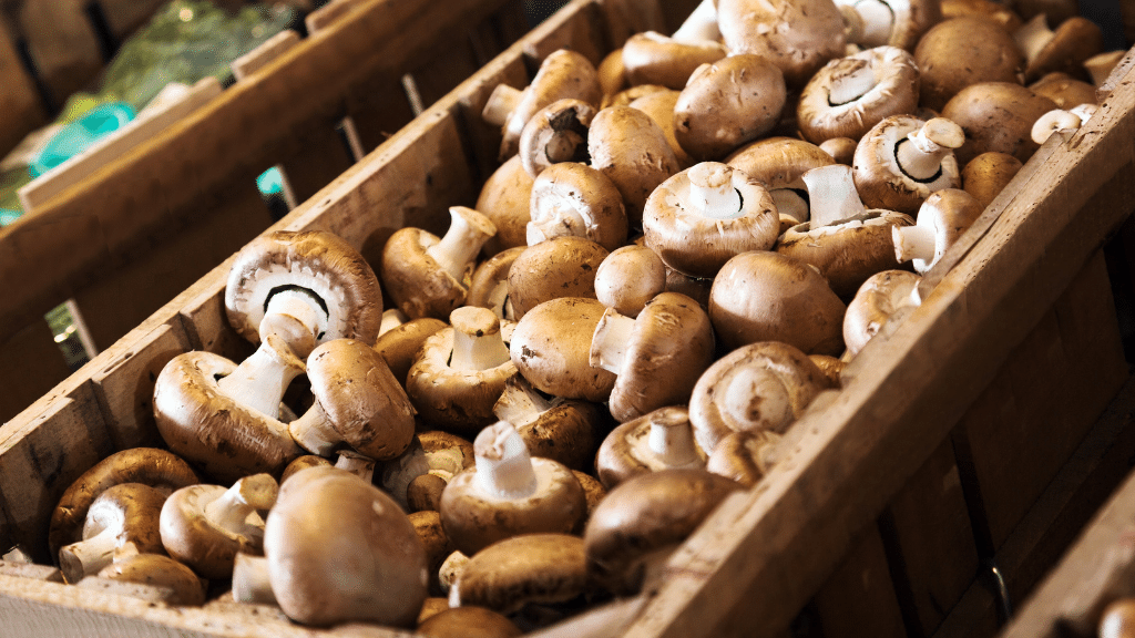 Bulk mushrooms to buy