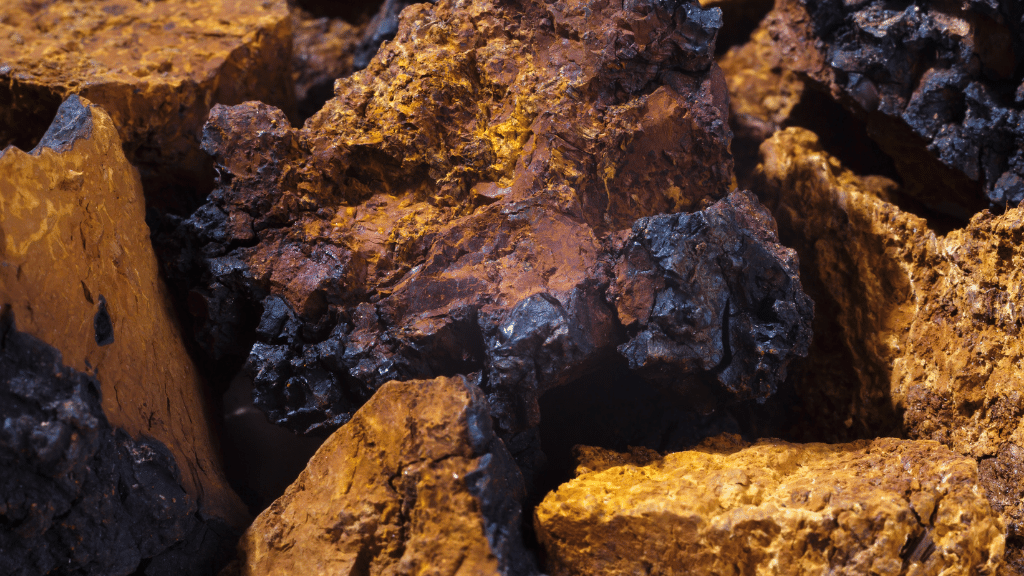 chaga mushroom closeup