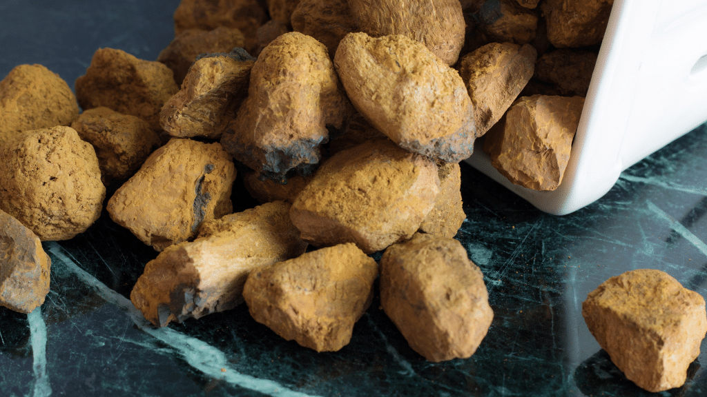 chaga mushroom nuggets