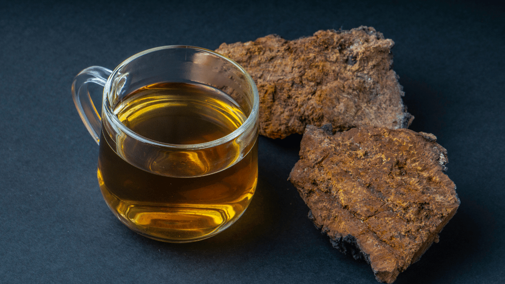 medicinal chaga tea