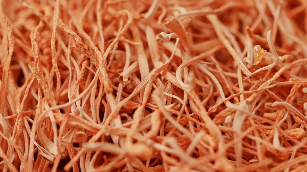 a pile of dried cordyceps