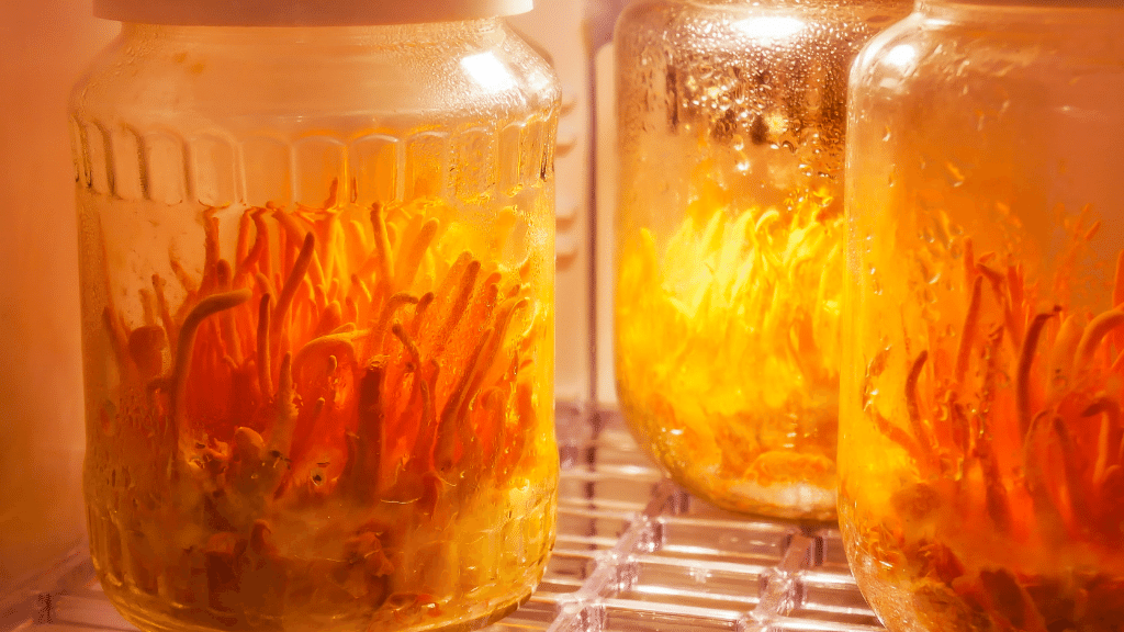 cordyceps jars