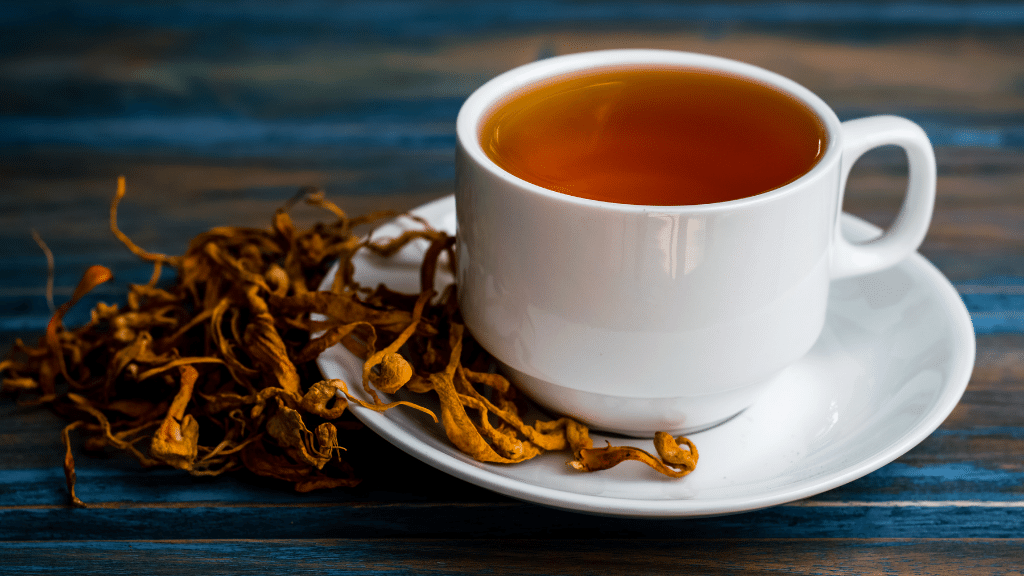 cordyceps tea