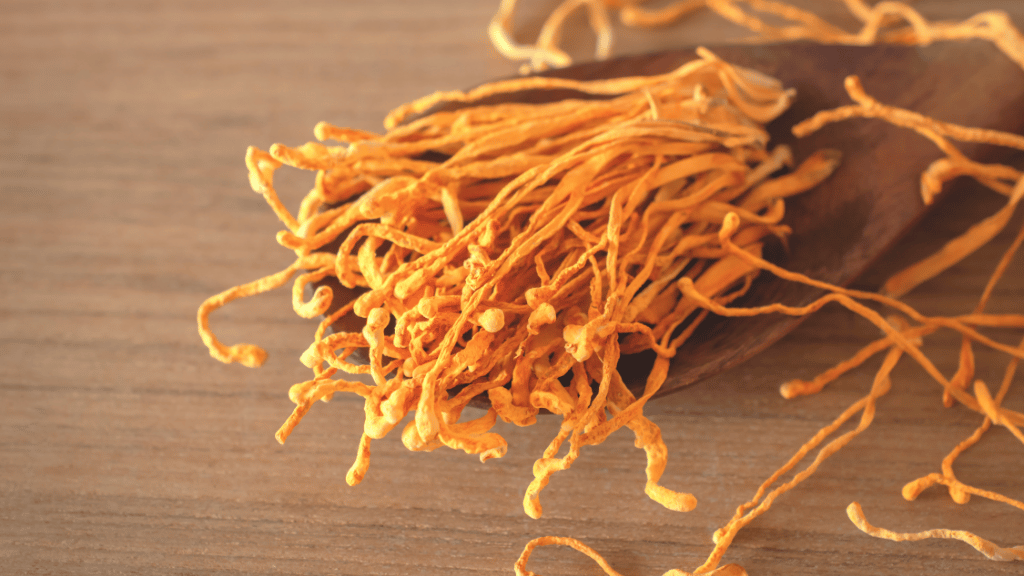 dried cordyceps mushrooms