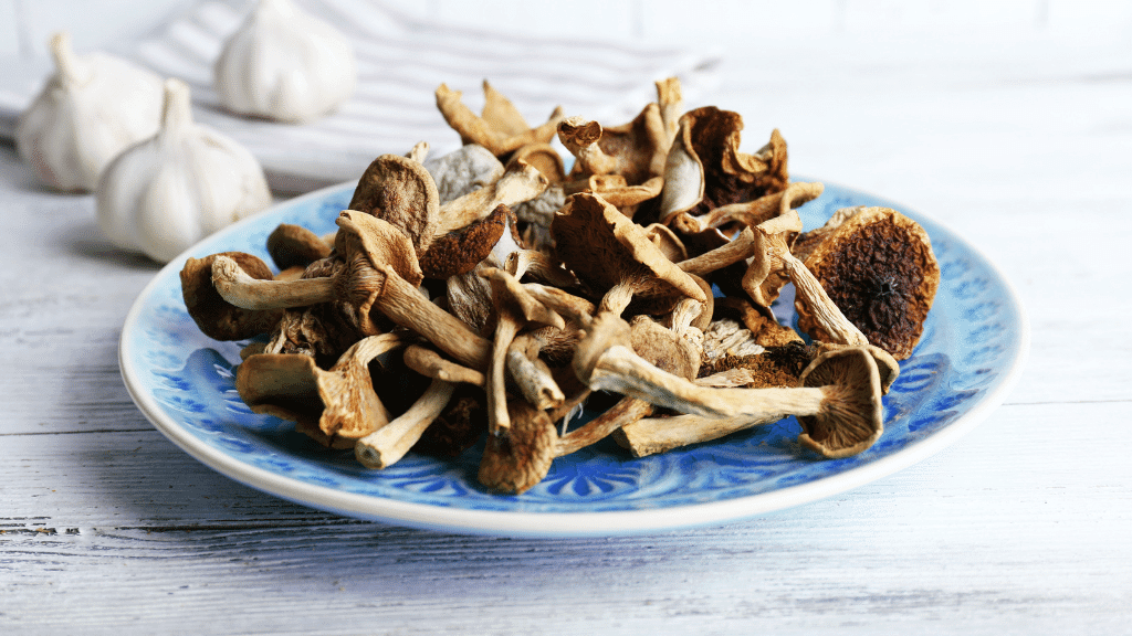Dried mushrooms on blue plate