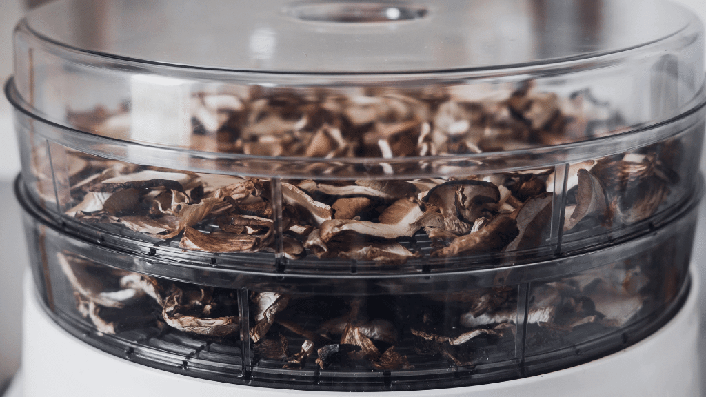 mushrooms in a dehydrator