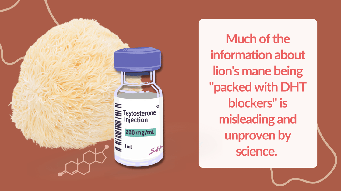 Testosterone Low Could Lion S Mane Be The Answer - bpd7feo