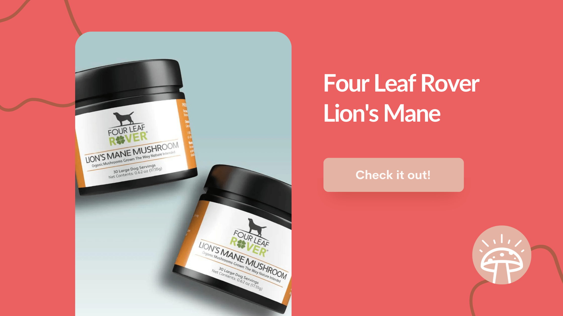 Four Leaf Rover Lions Mane