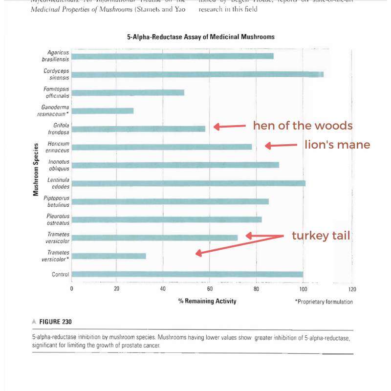 lions mane alpha 5 reductase image paul stamets