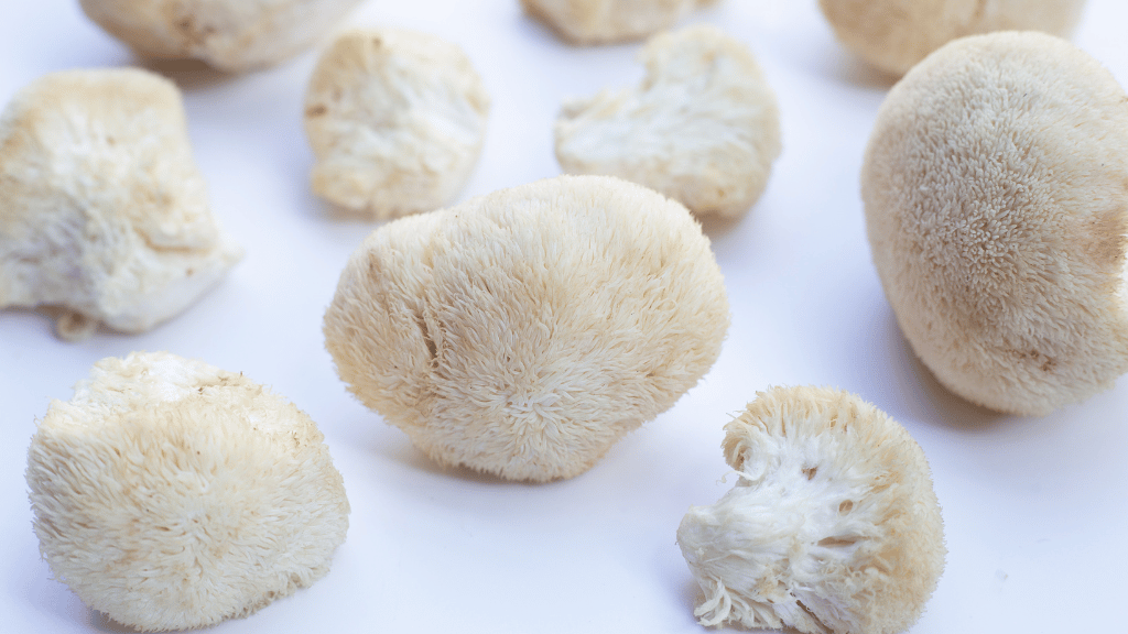 lions mane mushrooms cut