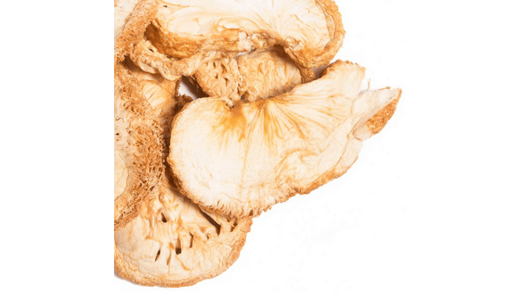 dried lions mane mushroom in bulk