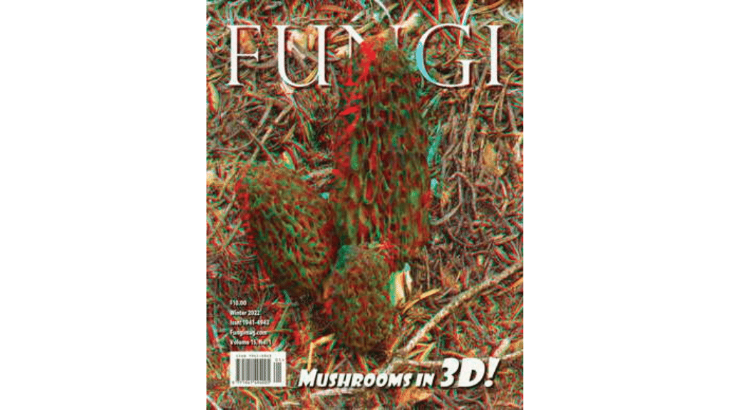fungi magazine