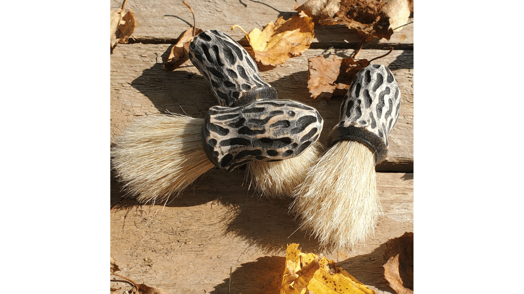mushroom brush