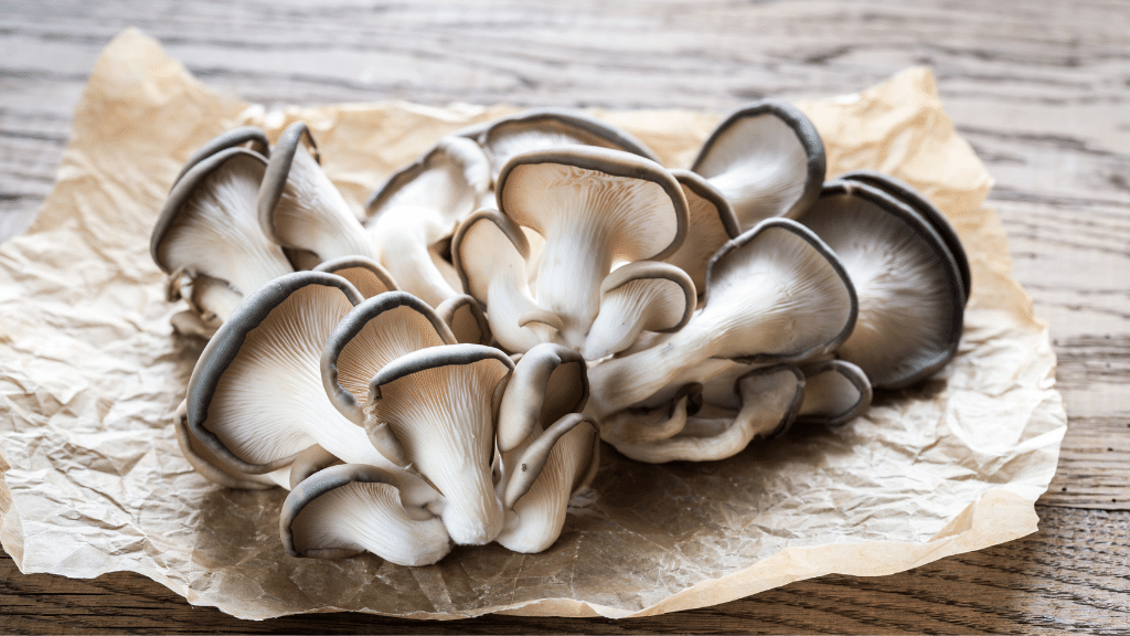 Oyster mushrooms