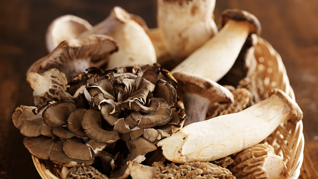 Functional Mushrooms Basket