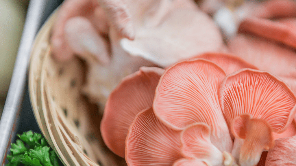 pink oyster mushrooms in a basket