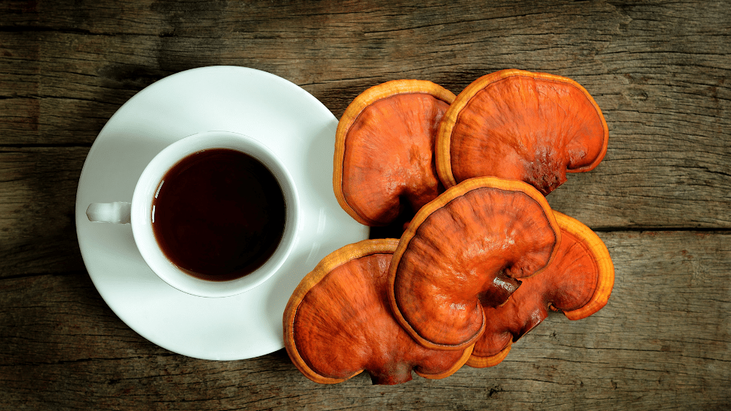 Cup of reishi tea