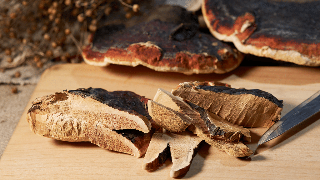 chopped reishi mushroom