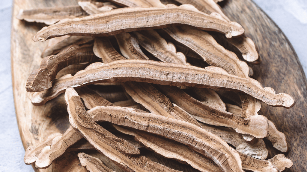 dried reishi for tea